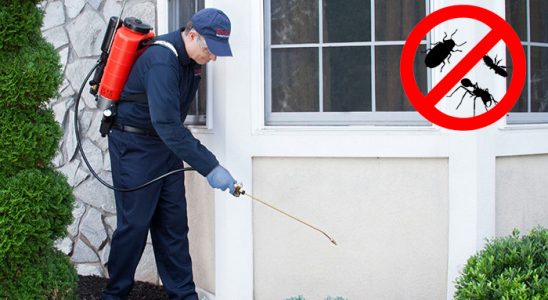 Espiye Karınca İlaçlama böcek ilaçlama ve haşere kontrolü — ilaclama-tr.com